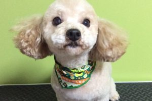 11月のお友達☆