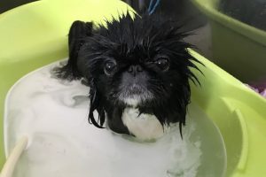 11月のお友達☆