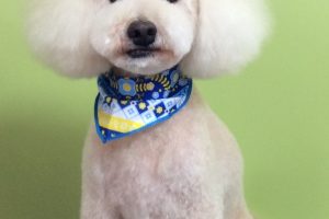 11月のお友達☆