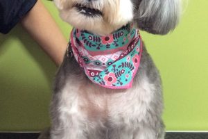 11月のお友達☆