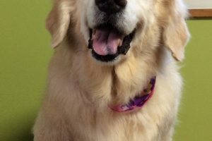 11月のお友達☆