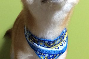 11月のお友達☆