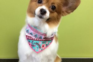 11月のお友達☆