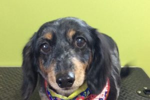 11月のお友達☆