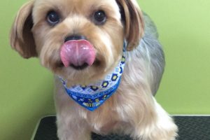 11月のお友達☆