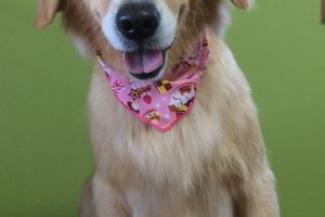 11月のお友達☆