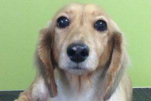 11月のお友達☆