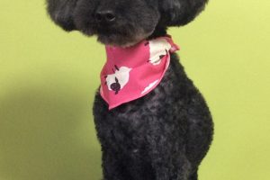 11月のお友達☆