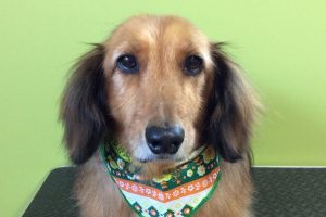 11月のお友達☆