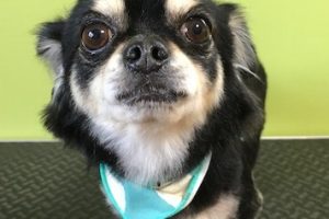 11月のお友達☆