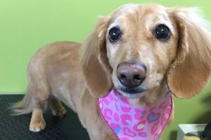 11月のお友達☆