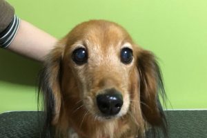 11月のお友達☆