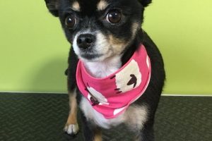 11月のお友達☆