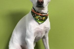 11月のお友達☆