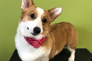 11月のお友達☆