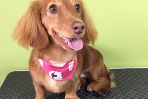 11月のお友達☆