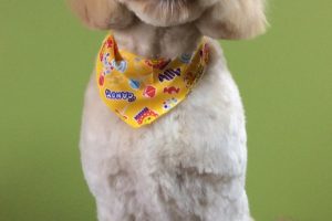 11月のお友達☆