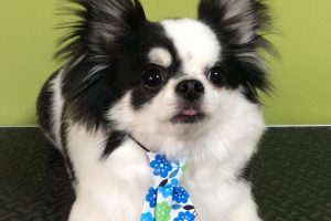 11月のお友達☆