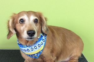 11月のお友達☆