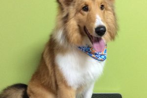 11月のお友達☆