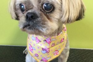 11月のお友達☆