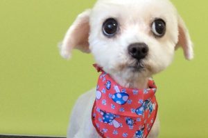 11月のお友達☆