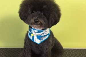 11月のお友達☆