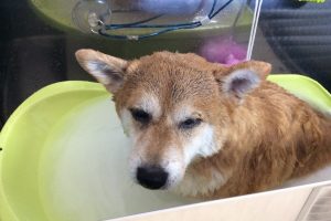 11月のお友達☆