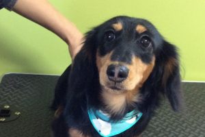 11月のお友達☆