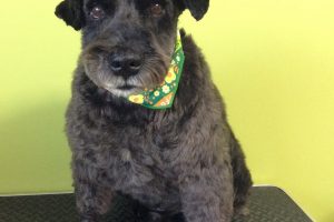 11月のお友達☆