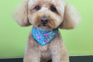 11月のお友達☆