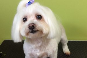 11月のお友達☆