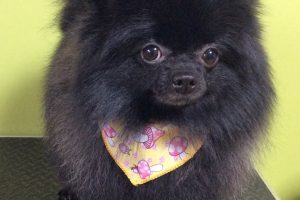 11月のお友達☆