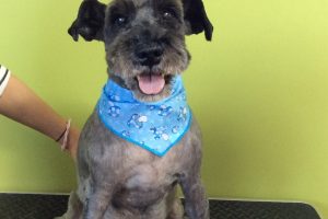 11月のお友達☆