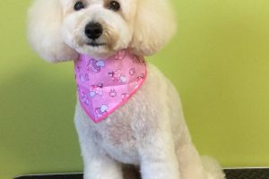 11月のお友達☆