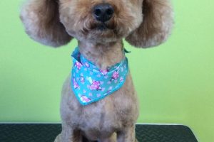 11月のお友達☆