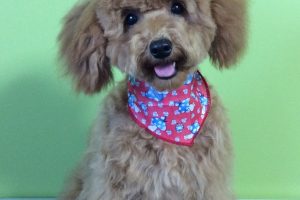 11月のお友達☆