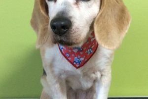 11月のお友達☆