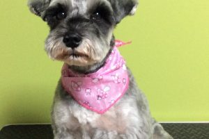 11月のお友達☆