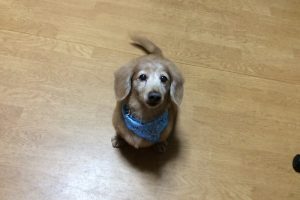 11月のお友達☆