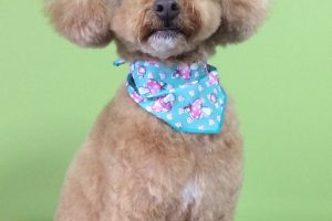 11月のお友達☆