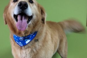 11月のお友達☆