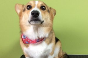 11月のお友達☆