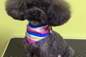 11月のお友達☆