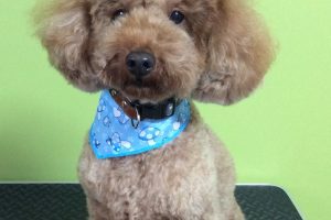 11月のお友達☆