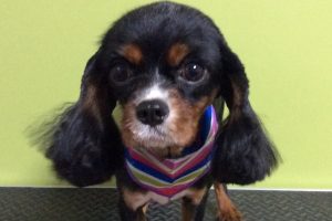 11月のお友達☆