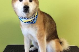 11月のお友達☆