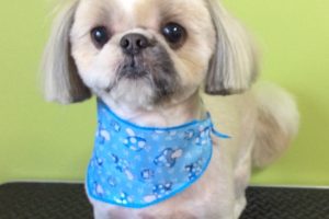 11月のお友達☆