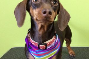 11月のお友達☆