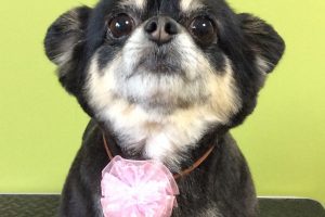 11月のお友達☆